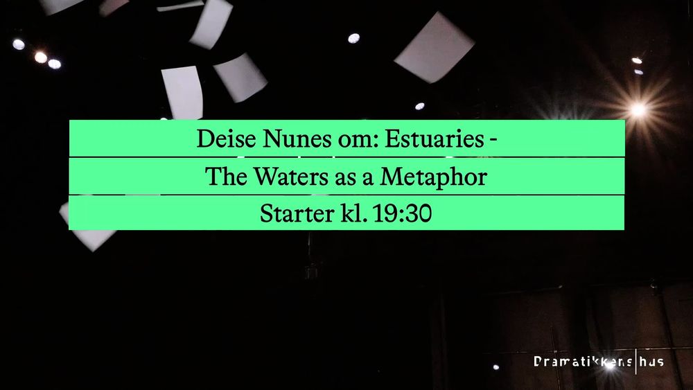 Deise Nunes om: Estuaries - The Waters as a Metaphor